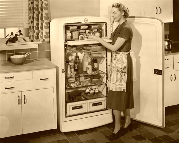 Be Cool With Professional Junk Refrigerator Disposal