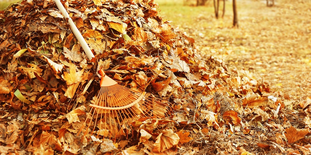cleaning-up-your-outdoors-after-winter-2