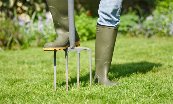 7 Tips For A Great Summer Lawn [Infographic]