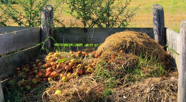 Composting 101