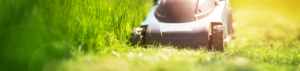 yard-waste-removal