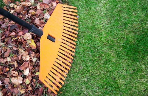 Fall Lawn Care And Debris Removal
