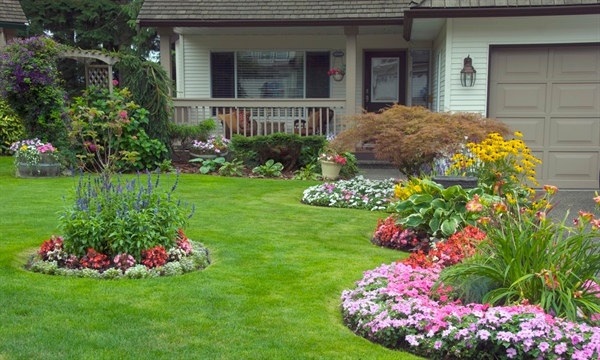 DIY Landscaping For Your Home: Doing It Right [Tips]