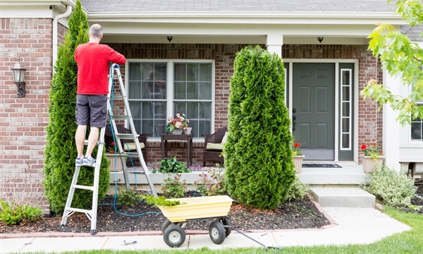 10 Landscaping Projects On A Budget