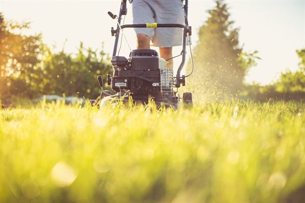 Spring Cleaning Your Yard Area And Recycling