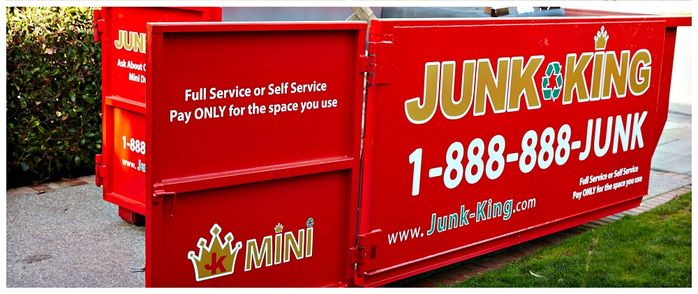 MiniDumpster