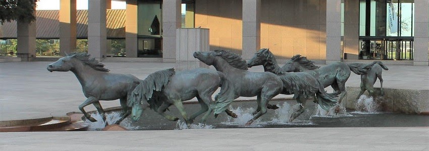 mustangs of las colinas