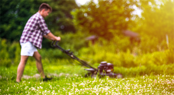 How To Keep Yard Waste Removal Simple [Checklist]